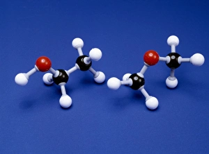 Prints of Ethanol and methoxymethane molecules. Molecular models of ethanol (CH3.CH2.OH, left) and methoxymethane (CH3.O.CH3). Both compounds contain the same atoms but in different arrangements Images Dated 2003 December: Molecular models of ethanol and methoxymethane Print