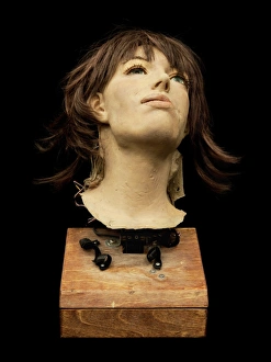 Images Dated 31st August 2012: Eve Robot Head Print