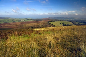 Exmoor Landscape Prints: Exmoor, Devon