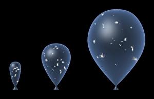 Prints of Expanding universe. Computer artwork illustrating the spatial expansion of the universe, using the analogy of an expanding balloon Images Dated 2007 November: Expanding Universe Print