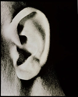 Human Ear Anatomy Prints: External view of a mans ear