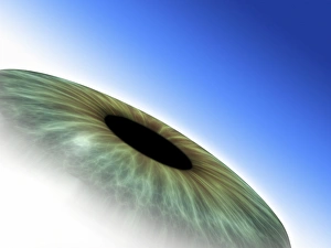 Iris Anatomy Prints: Eye, computer artwork