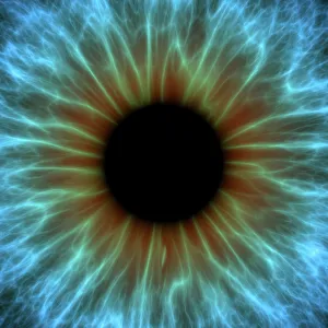 Prints of Eye. Computer artwork of a close-up of the iris and pupil of an eye. The iris, a coloured muscular ring, regulates the amount of light that enters the eye through the pupil (black) Images Dated 2011 April: Eye, Iris Eye Print - Close-up of an eye's iris and pupil