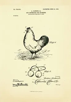 Eyeglasses for chickens patent, 1903 C024/3600 Eyeglasses for chickens patent, 1903 C024/3600