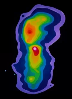 Active Galaxy Collection: False-col. radio map of active galaxy Centaurus A