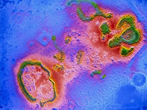 False-col TEM of respiratory syncytial (RS) virus False-col TEM of respiratory syncytial (RS) virus