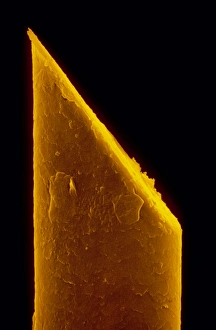 False-colour SEM of beard hair cut by razor blade False-colour SEM of beard hair cut by razor blade