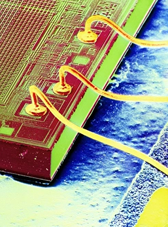 False-colour SEM of an integrated circuit False-colour SEM of an integrated circuit