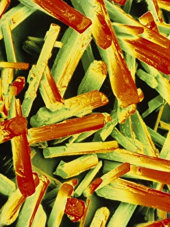 False-colour SEM of monosodium glutamate False-colour SEM of monosodium glutamate