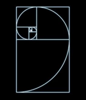 Top Picks Collection: Fibonacci spiral, artwork
