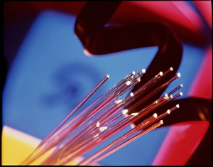 Fibre optics conducting light with telephone flex Fibre optics conducting light with telephone flex