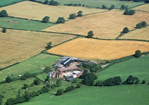 Fields Fields