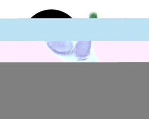 Fingerprint biometrics Fingerprint biometrics