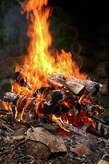 Firewood Burning Prints: Fire