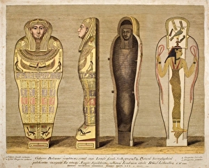 First British Museum Mummy and coffin First British Museum Mummy and coffin