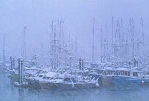 Fishing boats in harbour during a blizzard Fishing boats in harbour during a blizzard