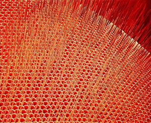 Prints of Flys eye. Coloured scanning electron micrograph (SEM) of a flys compound eye. Protective bristles cover its surface. The eye is made up of numerous visual units, known as ommatidia Images Dated 2001 October: Coloured SEM Print of a Fly's Compound Eye