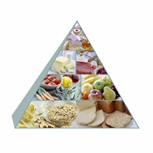 Images Dated 25th June 2004: Food pyramid