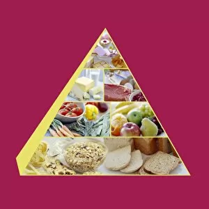Images Dated 25th June 2004: Food pyramid