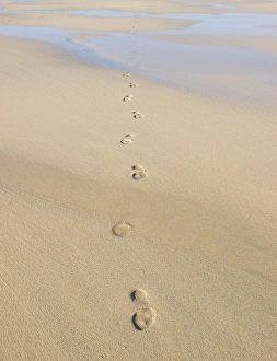 Footprints In Sand Prints: Footprints in sand