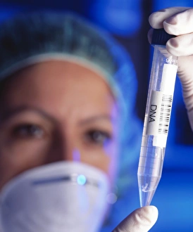 Forensic DNA analysis Forensic DNA analysis