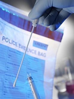 Forensic Evidence Print: Swab Sample in Container