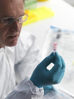 Forensic Science Print: DNA Sample