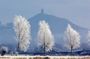 Frost-covered trees and Glastonbury Tor Frost-covered trees and Glastonbury Tor