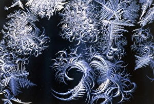 Images Dated 1st September 2005: Hoar Frost Patterns on Glass Print