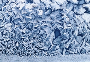 Cold Weather Photography Prints: Frost on window