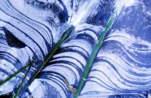 Ice Covered Body Of Water Prints: Frozen pond