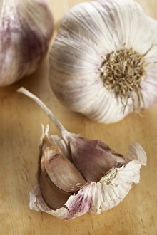 Garlic Bulbs Prints: Garlic