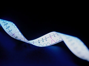 Genetic Information Storage Prints: Genetic sequence