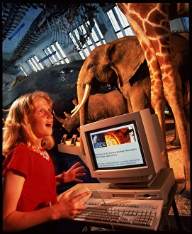 Girl uses the internet at Natural History Museum Girl uses the internet at Natural History Museum