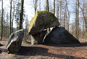 Rock Formations In Switzerland Prints: Glacial erratics, Switzerland