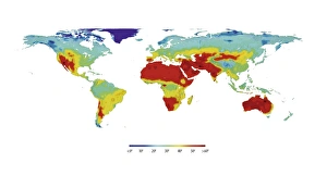 Global Temperature Map Print