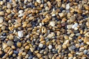 Coastal Erosion UK Prints: Graded shingle