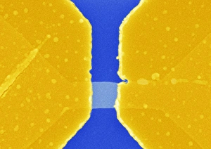 Silicon Replacement Technology Prints: Graphene transistor, SEM