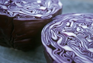 Brassica Oleracea Prints: Halved red cabbage