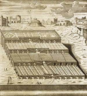 Hanging Gardens of Babylon, 1679 artwork C016/8936 Hanging Gardens of Babylon, 1679 artwork C016/8936