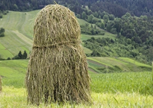 Images Dated 14th June 2006: Tatra Hay Stack Print, 30x40cm
