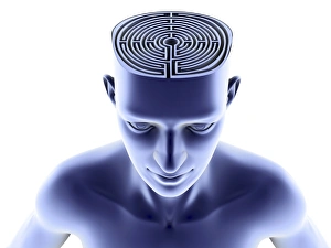 Images Dated 7th March 2011: Maze Brain Head Print
