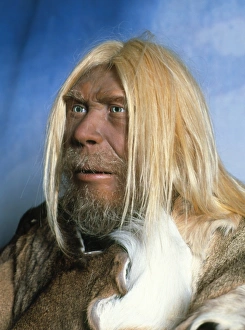 Head of a model of a neanderthal man Head of a model of a neanderthal man