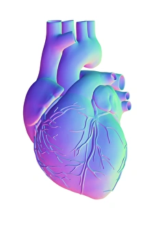 Computer Generated Heart Image Prints: Heart, computer artwork