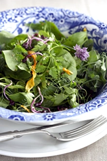 Fresh Herb Salad Prints: Herb salad