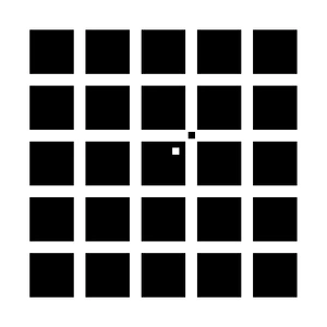 Hermann-Hering illusion Hermann-Hering illusion