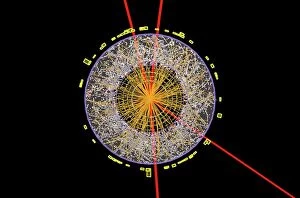 Track Collection: Higgs boson event, ATLAS detector C013 / 6892