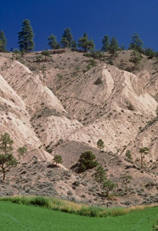 Hill soil erosion caused by over-grazing Hill soil erosion caused by over-grazing