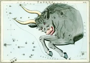 Uranias Mirror Cards Prints: Taurus constellation