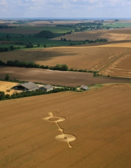 Hoax crop formation, Alton Priors, Wiltshire Hoax crop formation, Alton Priors, Wiltshire
